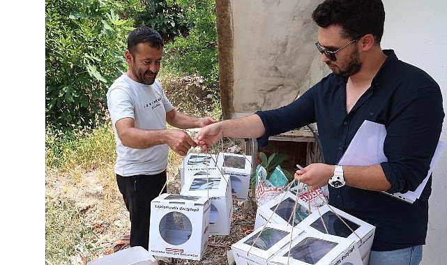 Büyükşehir’den 800 dekar araziye faydalı böcek desteği