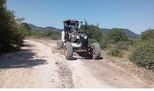 Kandıra Belediyesi’nden Fındık Hasadı Öncesi Üreticiye Yol Desteği