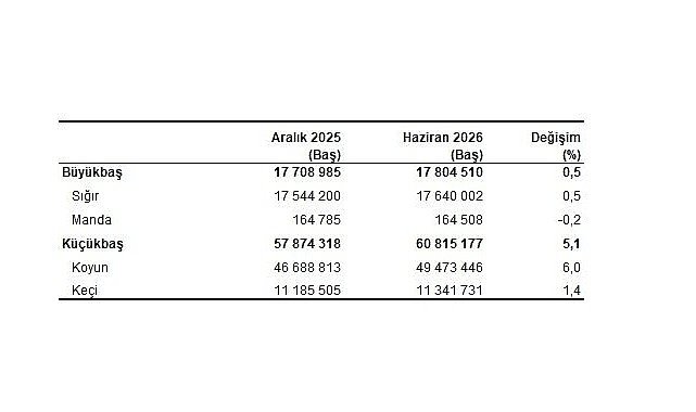 Hayvancılık İstatistikleri, Haziran 2026