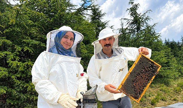 Konya Büyükşehirin Destekleriyle “Hububat Diyarı”nda Bal Bereketi Yaşanıyor